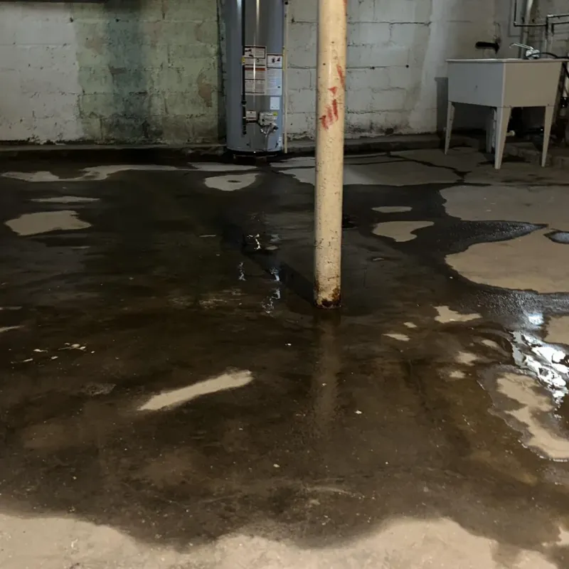 Emergency Water Extraction And Removal in Nappanee, IN